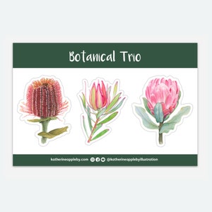 Botanical Trio | STICKER SHEET | Protea, Banksia, Leucadendron