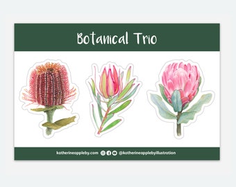 Botanical Trio | STICKER SHEET | Protea, Banksia, Leucadendron