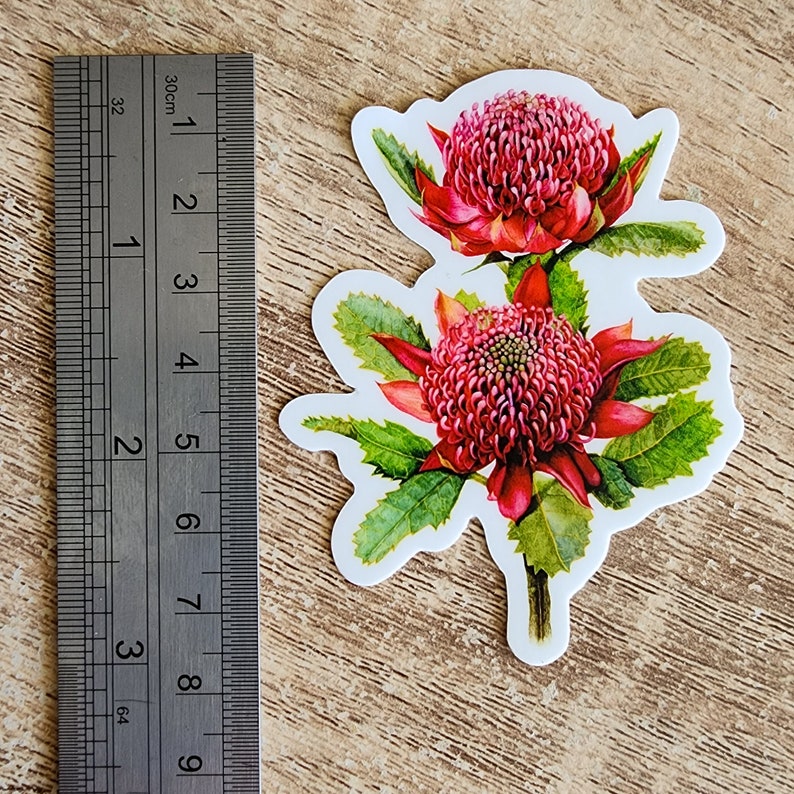 FLOWER STICKER Australian Red Waratah Waterproof Vinyl image 6