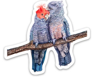 GANGGANG COUPLE STICKER - Waterproof Vinyl Sticker - Australian Cockatoo - Gang Gang - Valentine's Day