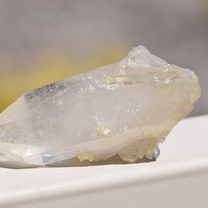 Arkansas Golden Healer Point