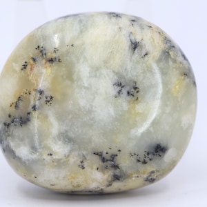Yellow Dendritic Opal Palm Stone