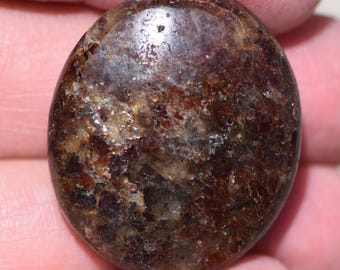 May include: A polished, oval-shaped stone with a mottled appearance. The stone's surface displays a mix of dark brown, reddish-brown, and golden-brown hues, with a slightly glossy finish. The stone is held in a person's hand.