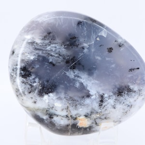Dendritic Opal Palm Stone