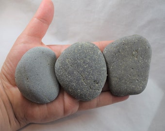 Large Lake Tahoe Tumbled Palm Stones