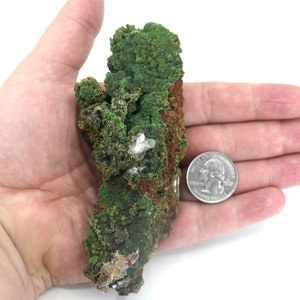 May include: A green and brown mineral specimen with white crystals. The specimen is about the size of a US quarter.
