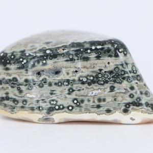 Old Stock Ocean Jasper