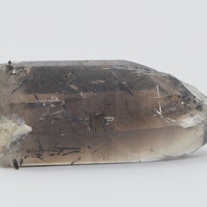 Phantom Smoky Quartz Point with Aegirine Zomba, Malawi