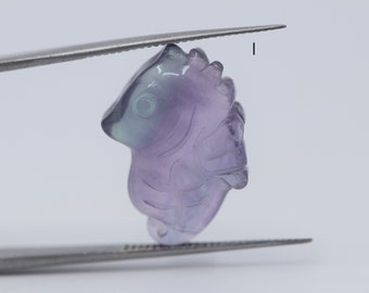 Tiny Fluorite Baby Seahorse