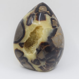 Druzy Septarian Free Form