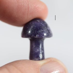 YOU PICK Tiny Lepidolite Mushroom