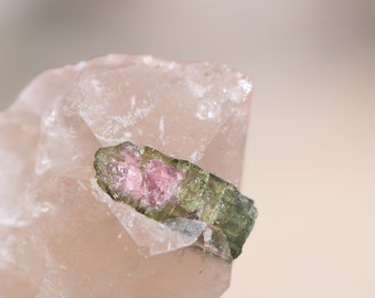 Super Gemmy Watermelon Tourmaline in Smoky Quartz Point