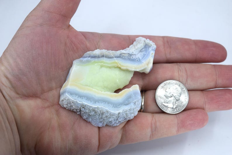 Pu&ograve; includere: Una geode di agata a bande blu chiaro, giallo e bianco con un esterno ruvido e testurizzato. La geode &egrave; circa delle dimensioni di una moneta da 20 centesimi di euro.