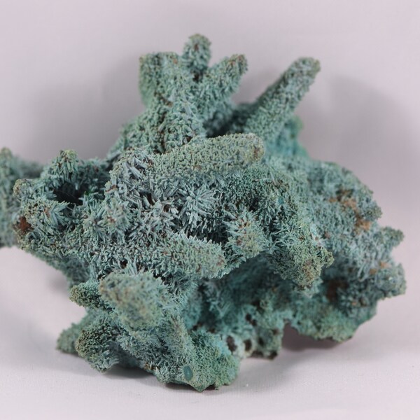 SUPER RARE Chrysocolla Psuedomorph