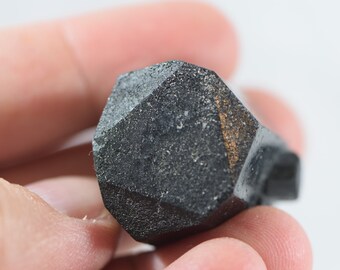 Black Tourmaline with Raised Triangle Formation