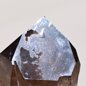Record Keeper Smoky Quartz Point