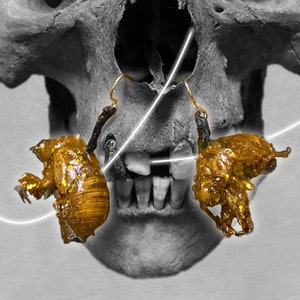 Cicada Earings