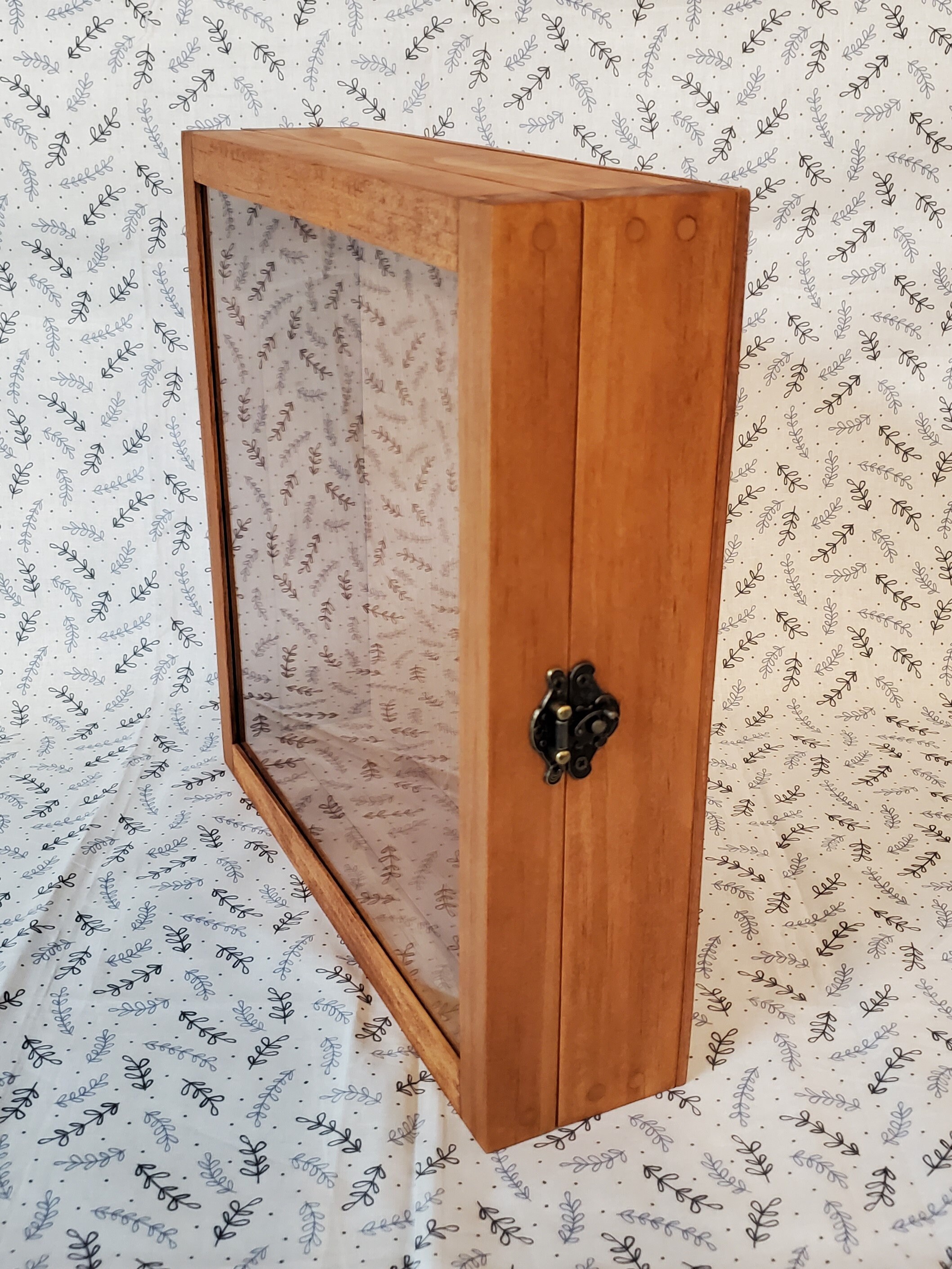 10 x 10 x 2 1/2 Shadow Box Display Case Hinged Glass Lid Etsy