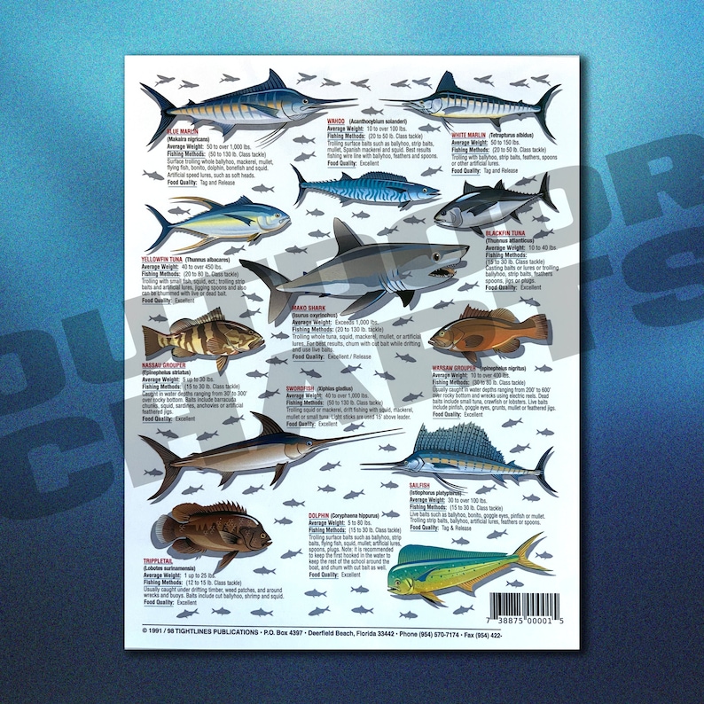 How to Catch 'em Chart 1 saltwater Etsy
