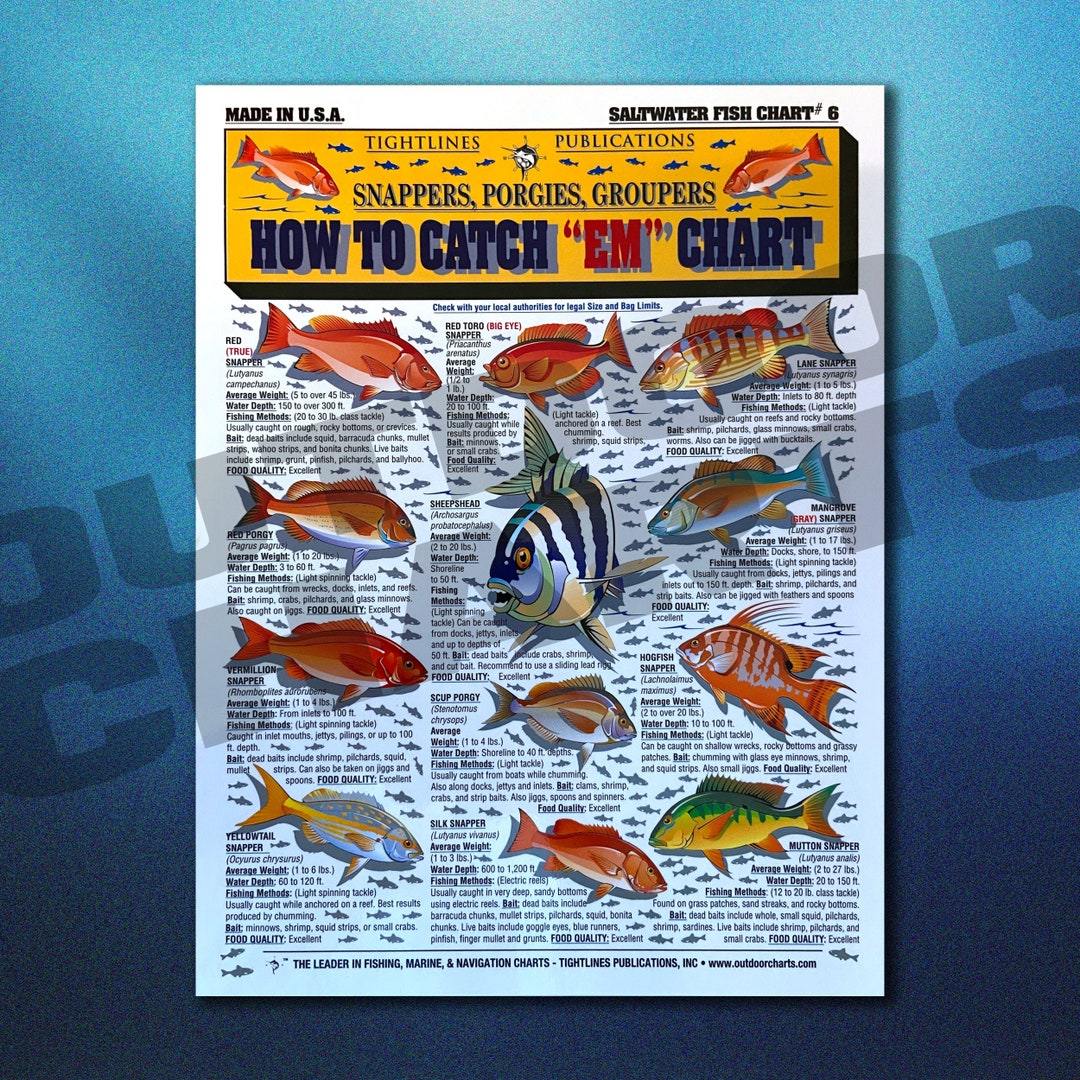 How to Catch 'em Chart 6 snappers, & Groupers Etsy