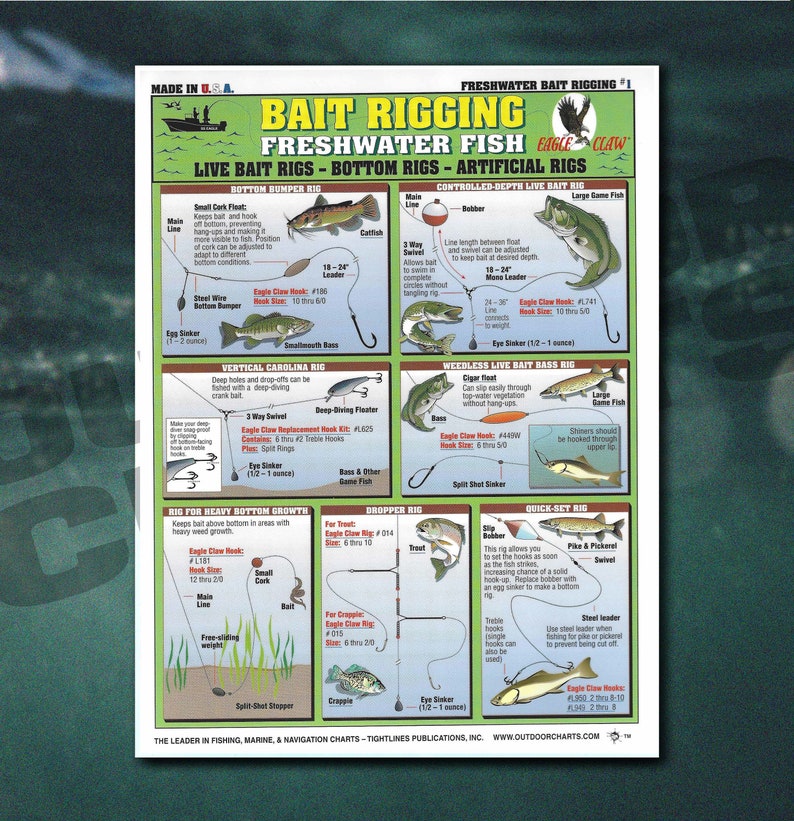 Bait Rigging Freshwater Fish Chart #1 (live Bait Rigs, Bottom Rigs ...