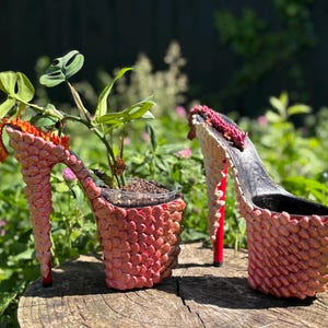 May include: A pair of unique, coral-colored high-heeled shoe planters with a textured, scale-like design. One shoe holds a small plant with green leaves and soil. The heels are red, and the shoes are set on a wooden surface.