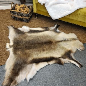 Luxury Reindeer Hide Rug | Striking Caribou Skin Rug | Luxury Reindeer Skin Rug | Natural Reindeer Hides | Natural Caribou Pelt Rug |