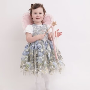 Peut inclure: Une jeune fille v&ecirc;tue d'une robe de f&eacute;e bleu clair et verte &agrave; fleurs avec une superposition de tulle rose, des ailes de f&eacute;e roses et tenant une baguette en bois en forme d'&eacute;toile avec un ruban rose.