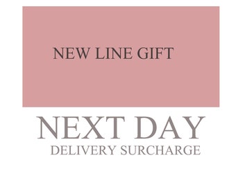 Next day delivery surcharge UK Only