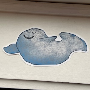 Whale sticker | Whale hello there sticker | Laptop sticker | Journal sticker | Water bottle sticker | WATERPROOF | @paintingonclouds