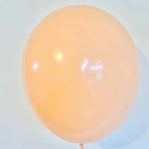 Cheeky 11 Latex Balloon Set Peachy Balloon Bouquet Bridal Shower Baby Shower Bachelorette Birthday Party Decorations Neutral Balloons