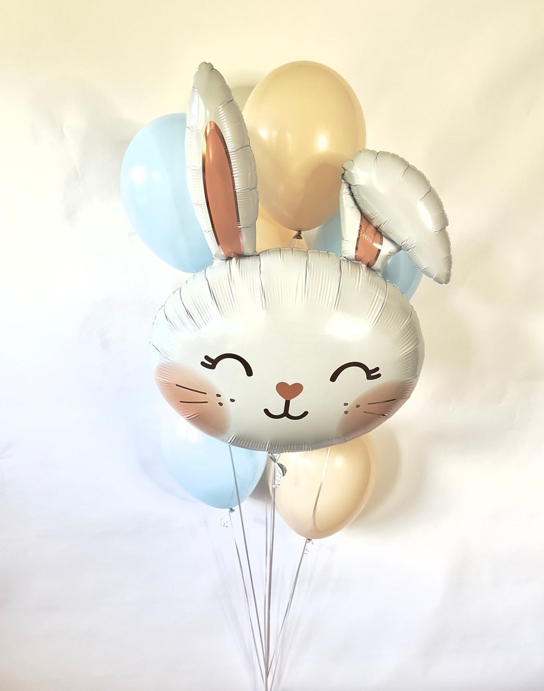 Balloons Rabbit Ear Floppy Eared Bunny Balloons - Pink & Green Pastel Balloons - Some Bunny ...