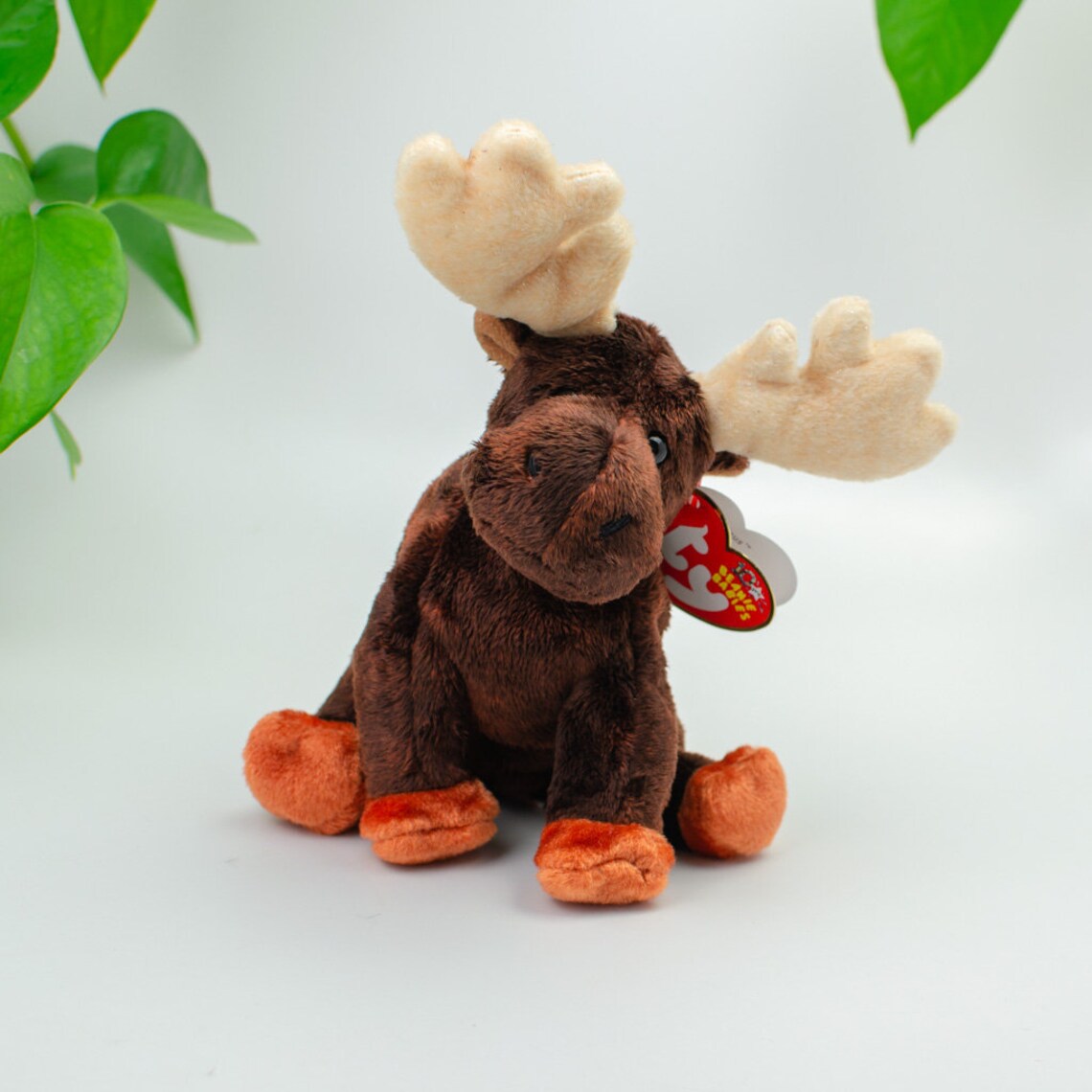 Ty Beanie Baby Zeus the Moose Etsy
