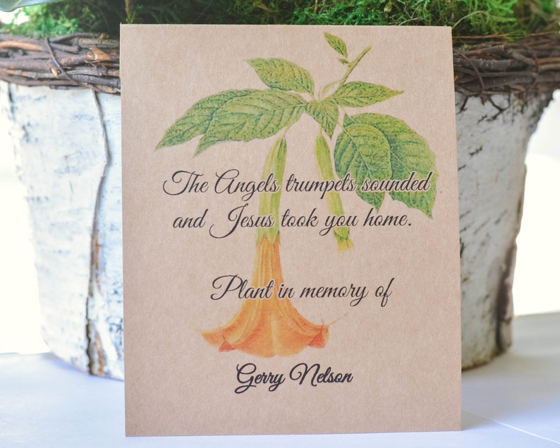 Trumpet Flower Funeral Memorial Seeds Funeral Favor Etsy