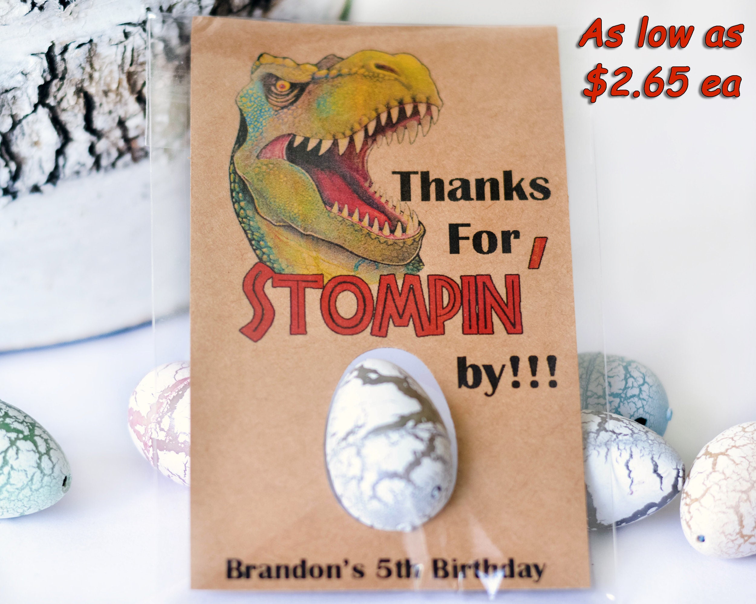 T-Rex Party Favors, Dino Kids Birthday Favor, Dinosaur oeuf à couver,  Dinosaur party, Party Favors personnalisé -  Canada