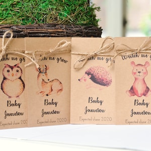 Baby Shower Favor, Seed Pack Favors, Woodland Baby Shower, Watch Me Grow, Gender Neutral, Eco Friendly Favors, Order With or Without Seed