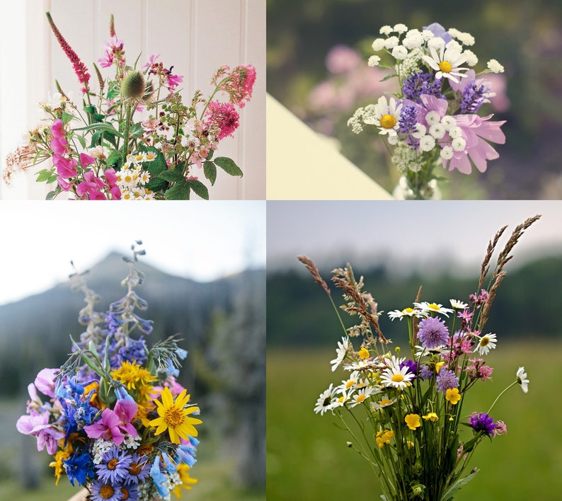 Sympathy Gift Dragonfly Succulent Tealight Garden Gift Box Etsy