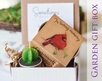 Sympathy gift Cardinal succulent tealight garden gift box, bereavement funeral condolence gift box  garden Eco friendly Sale