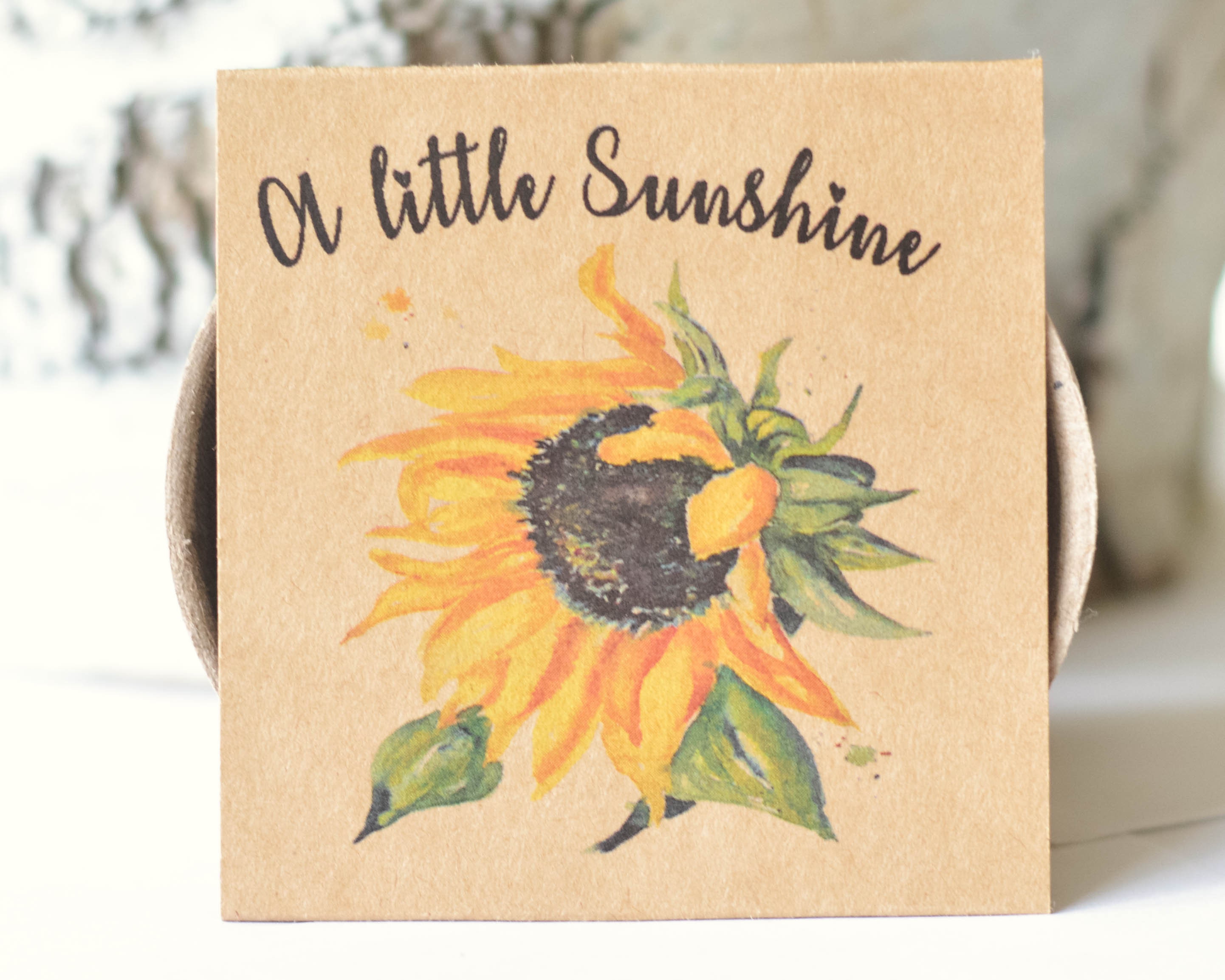 Sunflower garden grow kit Birthday gift Thinking of you kids Etsy