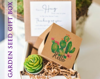 Gift box succulent thinking of you garden seed kit, Birthday, social distancing, sunshine, succulent gift, gift Eco friendly sale