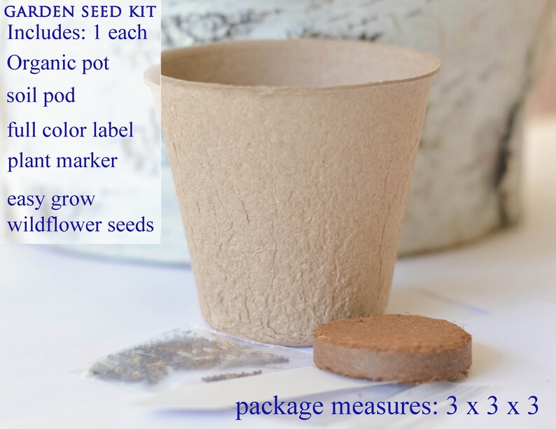 Sympathy Gift Dragonfly Succulent Tealight Garden Gift Box Etsy