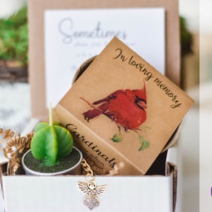Cadeau de sympathie cardinale, succulent coffret cadeau de jardin tealight, célébration de la vie, jardin Respectueux de l’environnement, cadeau de sympathie personnalisé