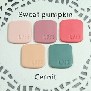 May include: Five small square polymer clay tiles in various shades of pink, peach, red, beige, and green. Each tile has the letters "LPFE" embossed on the surface. The tiles are arranged in two rows on a white background with the text "Sweat pumpkin" and "Cernit" printed below.