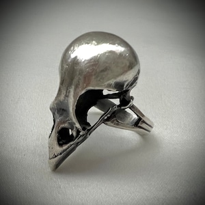 Sterling Silver Raven Skull Ring 6.75