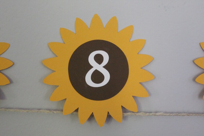 Summer Birthday Sunflower Monthly Photo Banner 1st Birthday Party