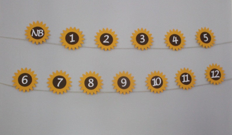 Summer Birthday Sunflower Monthly Photo Banner 1st Birthday Party