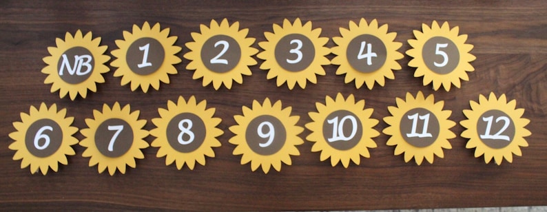 Summer Birthday Sunflower Monthly Photo Banner 1st Birthday Party