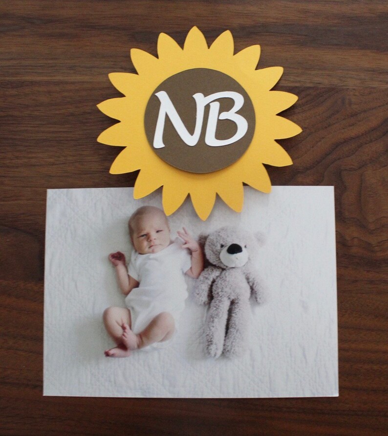 Summer Birthday Sunflower Monthly Photo Banner 1st Birthday Party