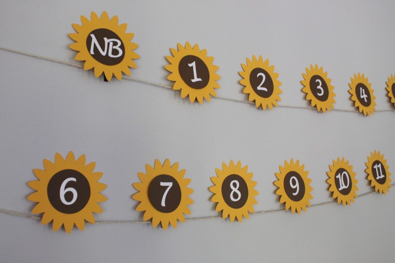 Summer Birthday Sunflower Monthly Photo Banner 1st Birthday Party
