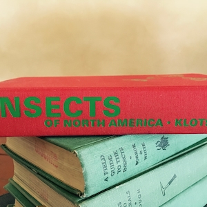 May include: A red hardcover book titled "INSECTS OF NORTH AMERICA - KLOIS" stacked on top of other books with green covers. The book titles on the other books are partially visible.